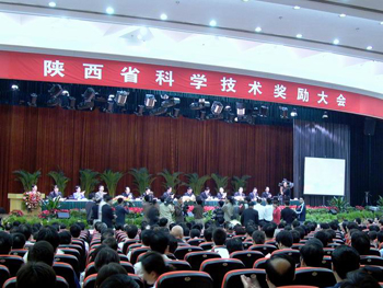 �������´��ڞg�[�DƬ